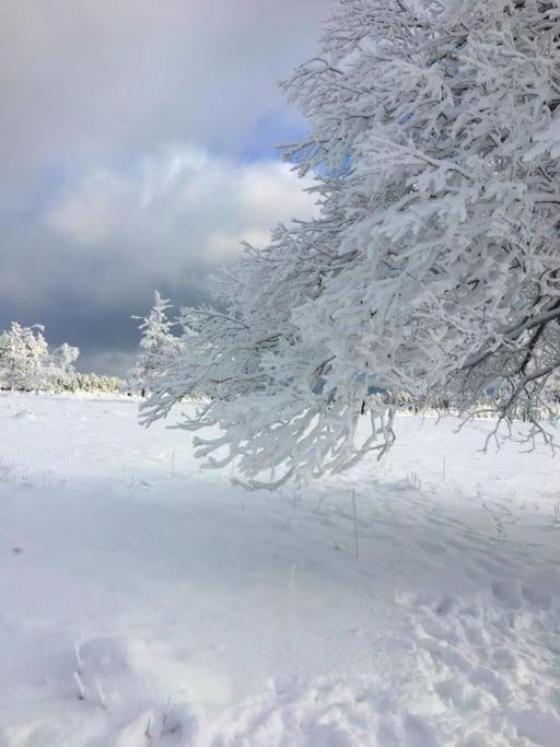 Ferienwohnung Anna Winterberg Dış mekan fotoğraf